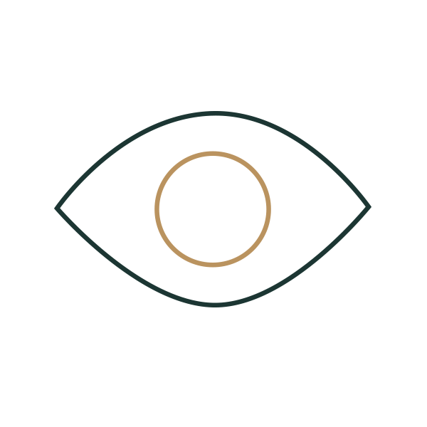 Line drawn icon of eye - illustrating Visionary